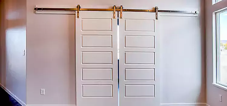 Glass Barn Door with Installation Hardware Kit Christiansburg