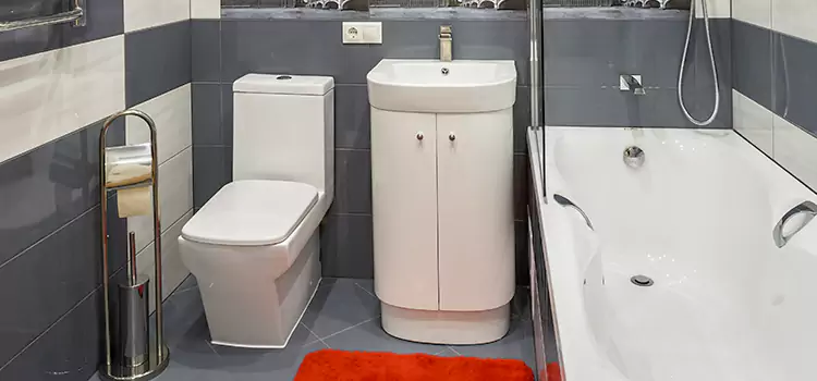 Hansgrohe Shaving Mirror Christiansburg